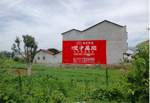 洪湖做墙体广告的意义