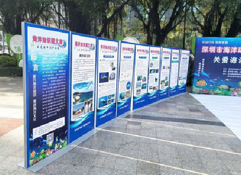 洪湖KT板的种类和知识。